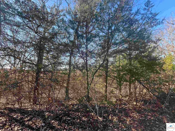 255 Toronto Ln, Rocky Mount, MO 65072