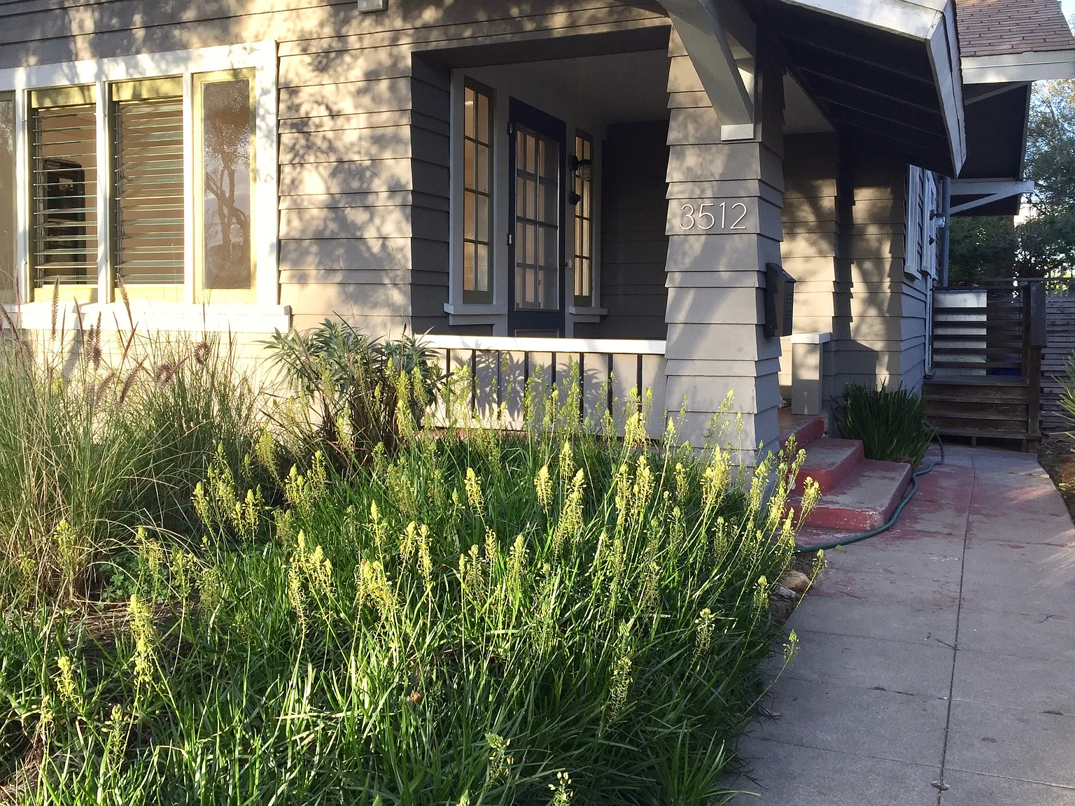 1 bed, 640 sqft, $2,950 — Photo 2