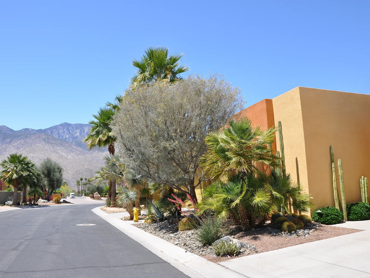 Searchlight Ln, Palm Springs — Photo 2
