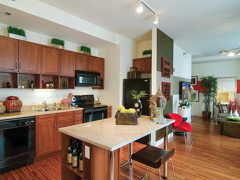 63 E Lake Apartments kitchen with black appliances