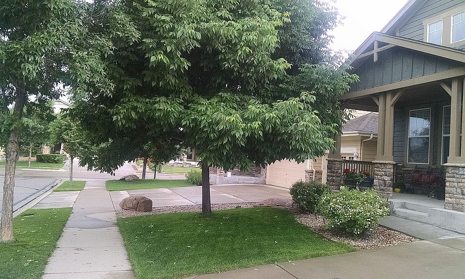2nd image of 2157 Dolan St