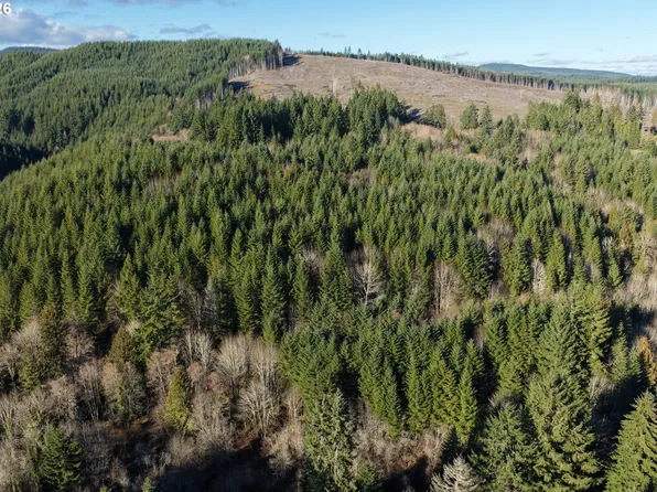 Scappoose Vernonia Hwy, Scappoose, OR 97056