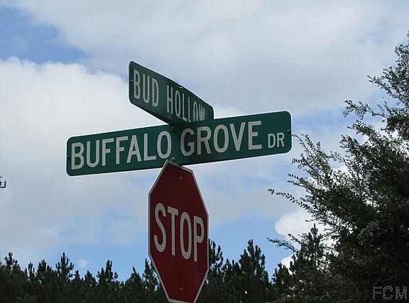 4th image of 12 Buffalo Grove Pl