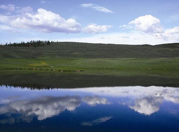 2nd image of 790 Williss Road