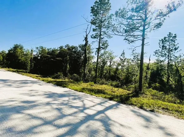 00 NE 110 AVENUE, BRONSON, FL 32621