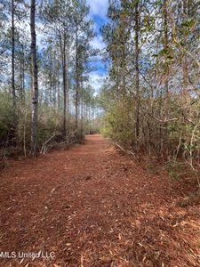 40 Acres Dr, Perkinston, MS, 39573