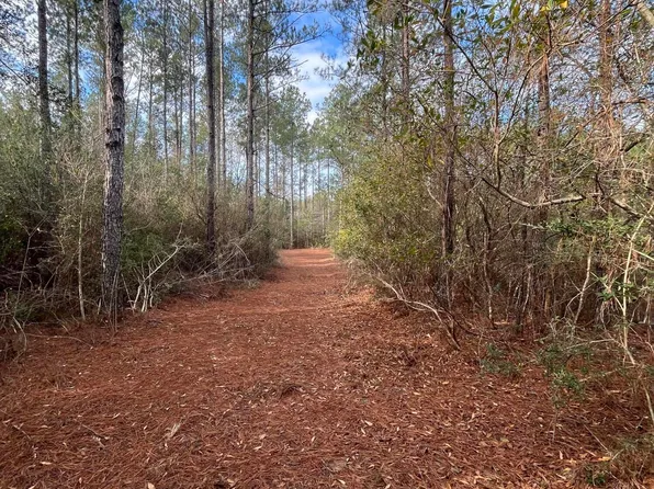 40 Acres Dr, Perkinston, MS 39573