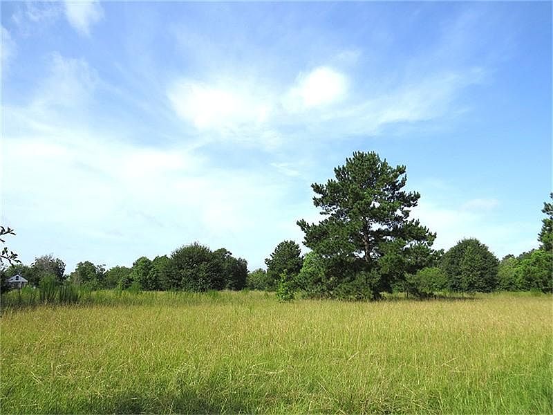 Trees, sky and wide open fields under starry skies at night.