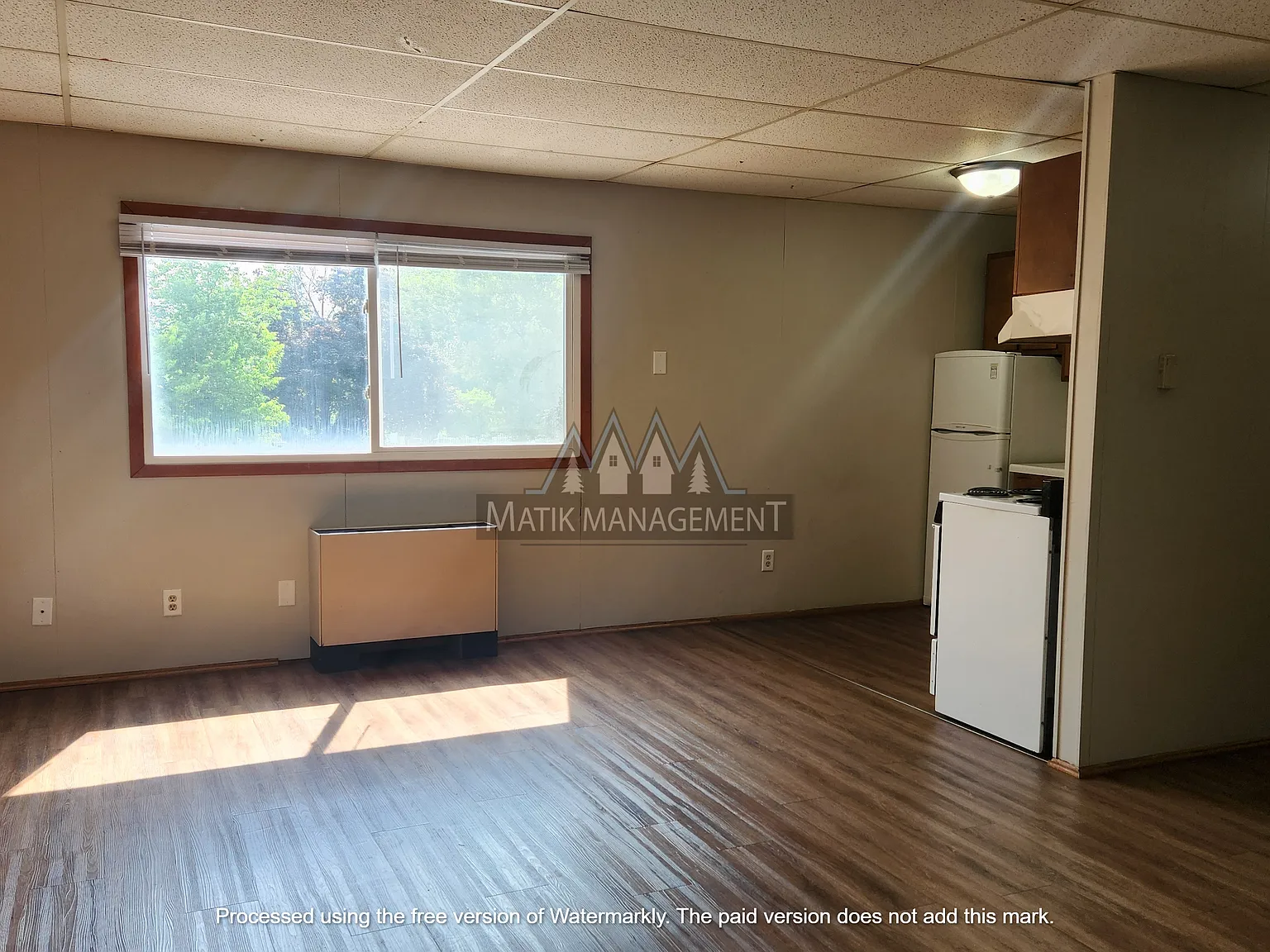 1 bed, $750 — Photo 4