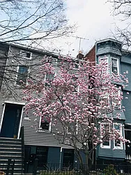25 Orient Avenue in East Williamsburg