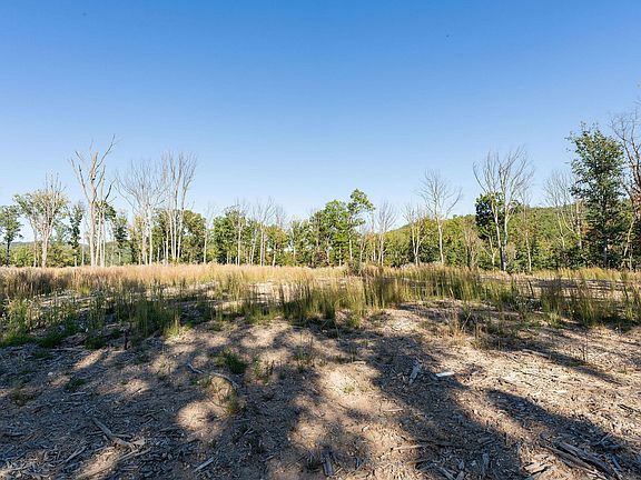 3rd image of Tbd Calf Mountain Rd