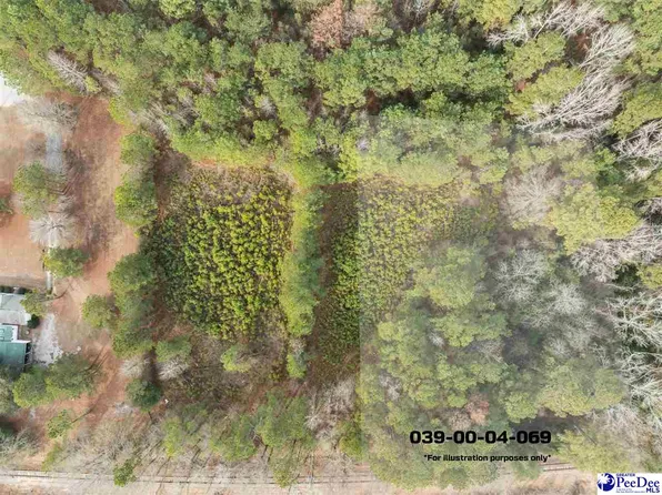 Berry Rd Lot 3, Hartsville, SC 29550