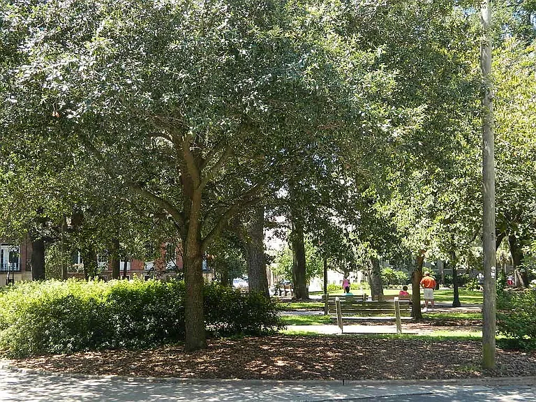 Square