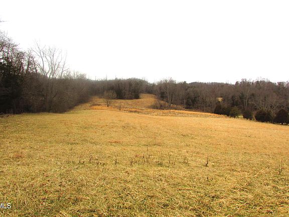 3rd image of 1411 Bristol Caverns Hwy