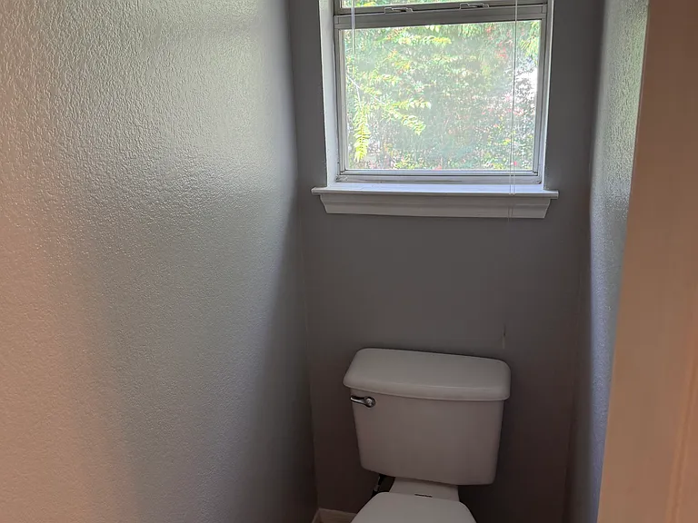 Master bathroom private toilet stall.