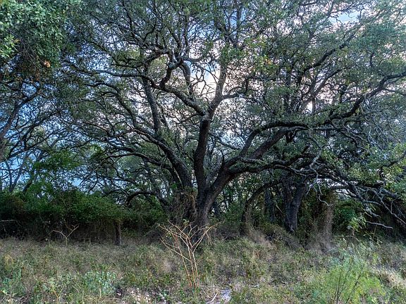 Land For Sale With Seller Financing Available in Brown County near May, TX