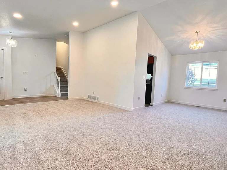 Fresh Carpet!