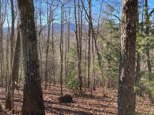 31 High Ridge Rd, Murphy, NC 28906