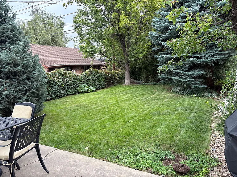Private Grassy Backyard
