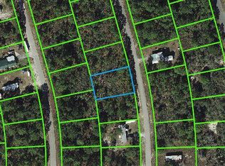 106 Fascination Dr, Lake Placid, FL 33852