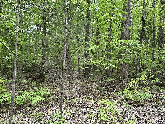 4th image of 2 Poplar Ridge Rd