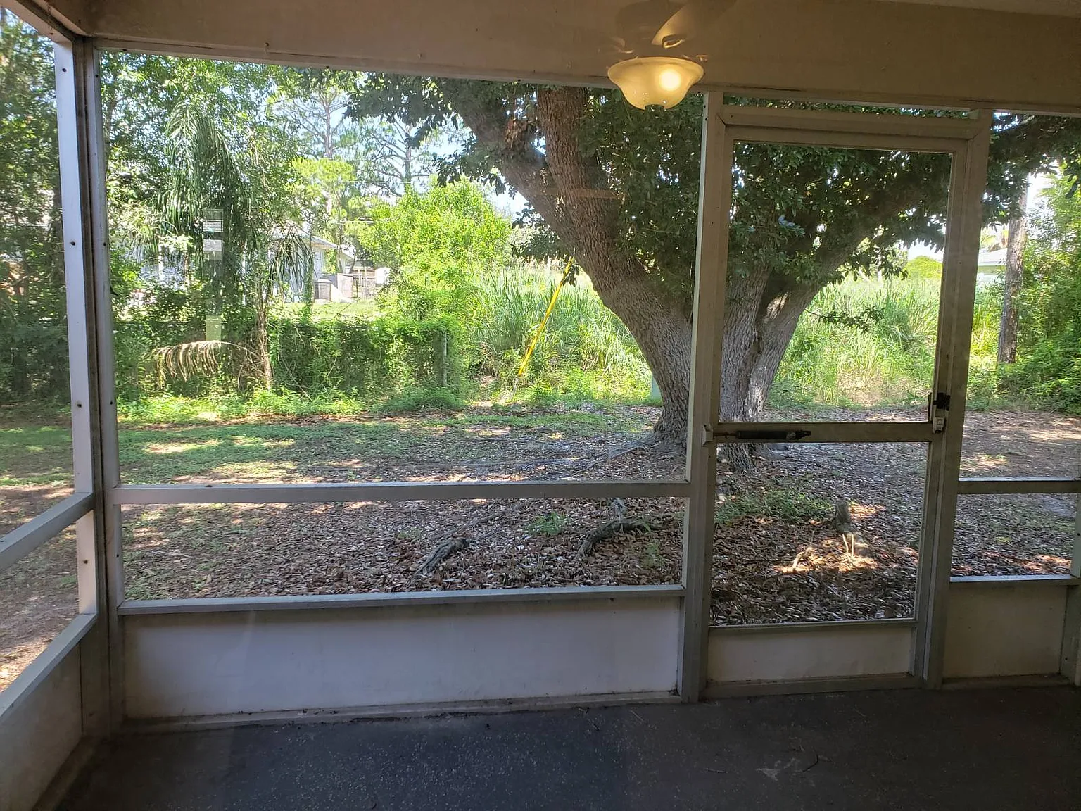 2 bed, 1.0 bath, 800 sqft, $950 — Photo 4
