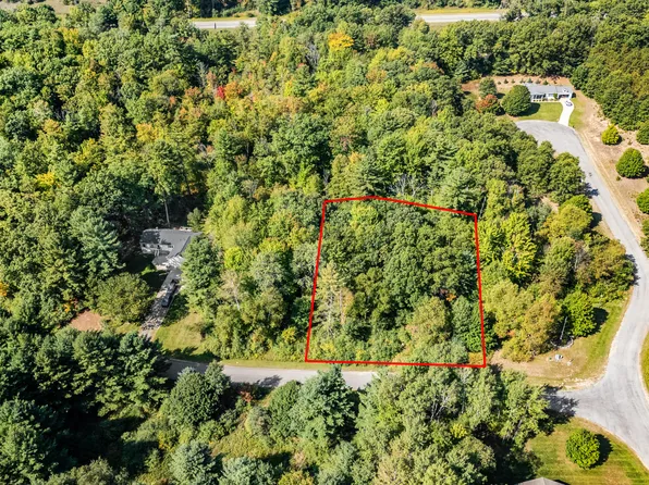 LOT 11 Executive Dr, Big Rapids, MI 49307