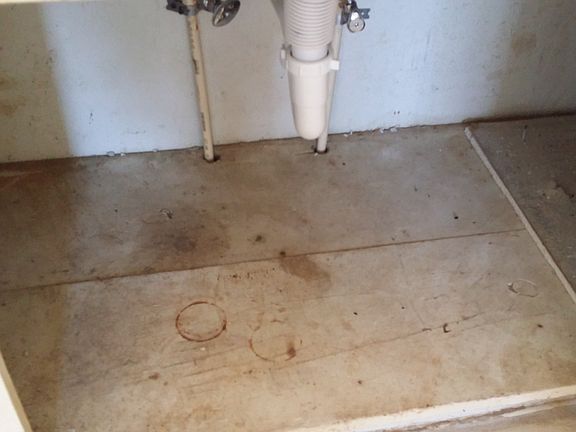 Kitchen sink cabinet