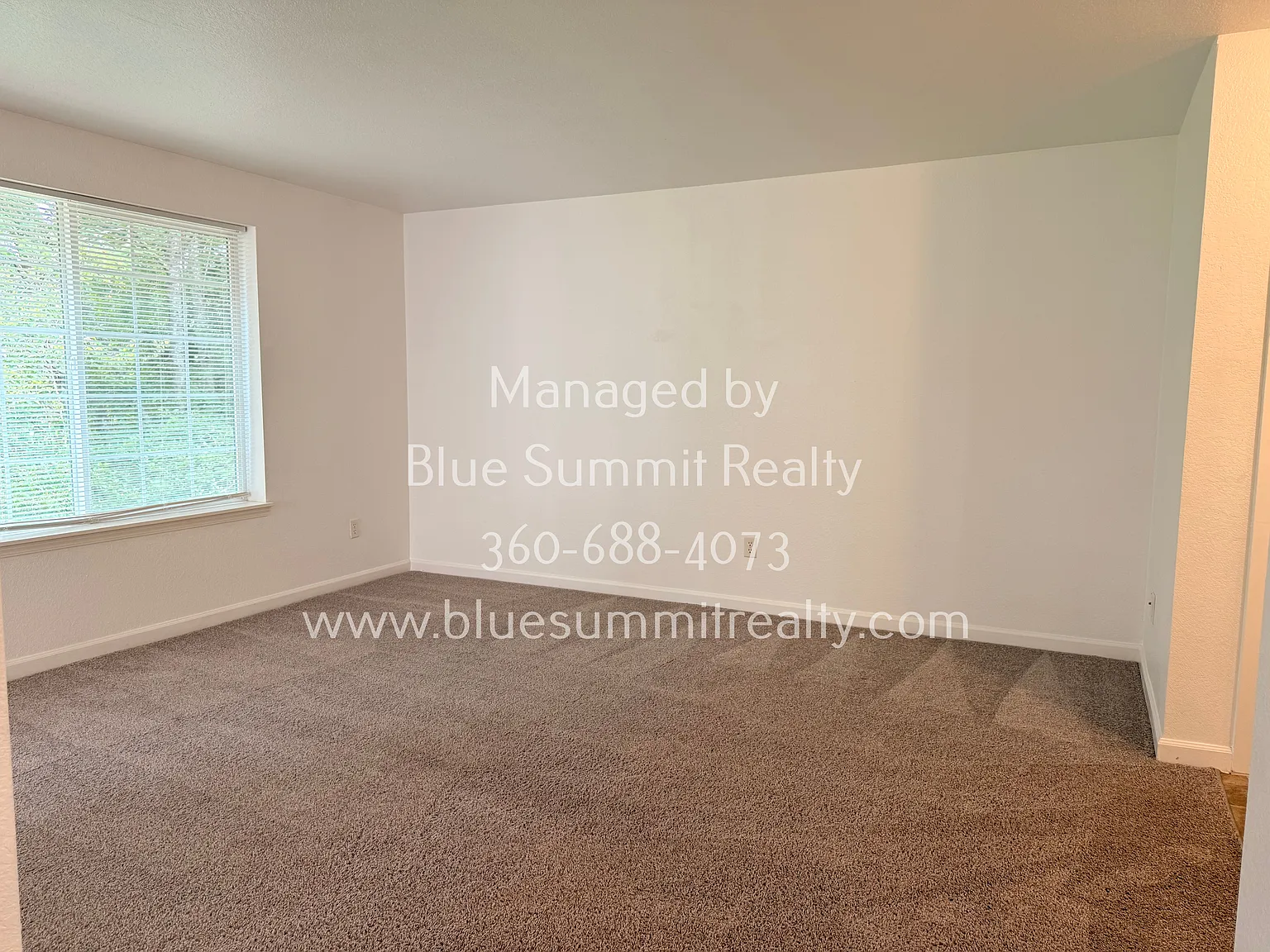 2 bed, 904 sqft, $1,595 — Photo 2