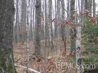 Forest Rd #519, Dunbar, WI 54119