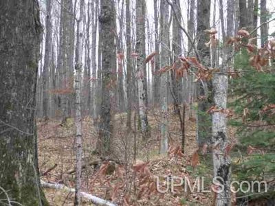 Forest Rd #519, Dunbar, WI, 54119