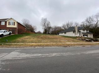 S Newton Ave, SPRINGFIELD, MO 65810