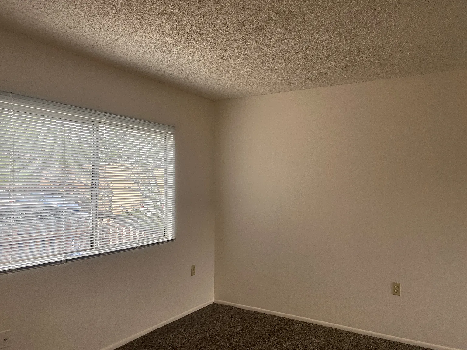 2 bed, 800 sqft, $1,000 — Photo 3