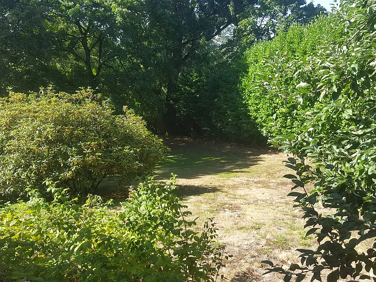 8065 SW Ridgeway Dr — Photo 14