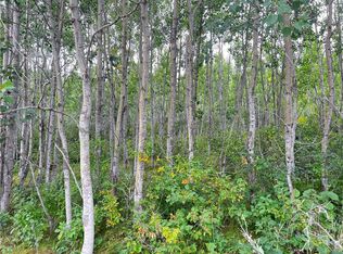 Lot 1 County Road T, Wascott, WI 54838