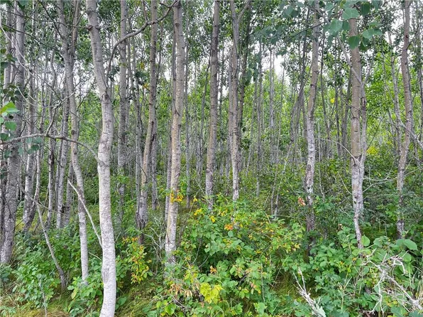 Lot 1 County Road T, Minong, WI 54838