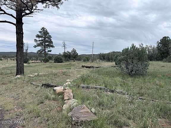 5th image of 1807 Rocky Ln