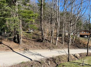 99999 Park Ridge Ave, Swannanoa, NC 28778