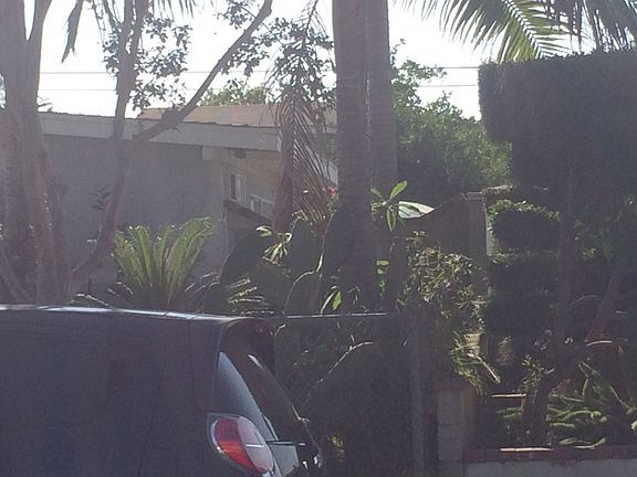 3rd image of 527 Alderton Ave