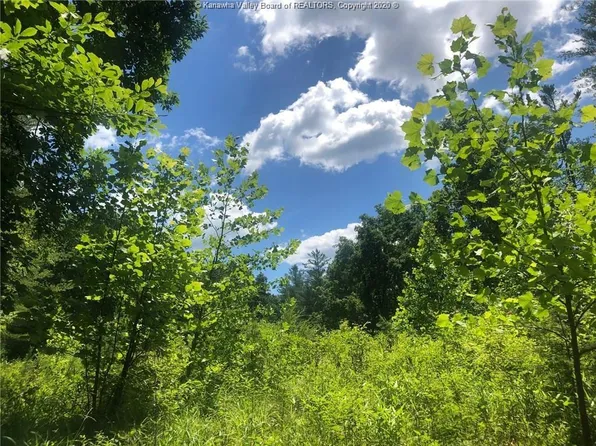 0 Twistabout Rd, Procious, WV 25164