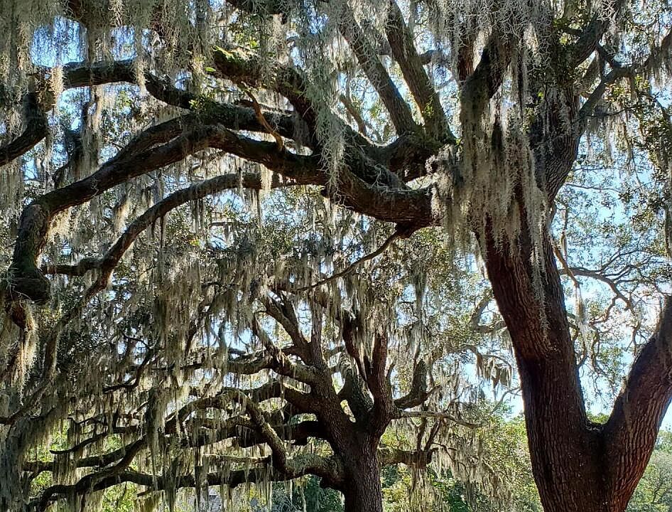1st image of 3355 Stone Crab Court SW