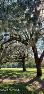 3355 Stone Crab Court SW, Supply, NC, 28462