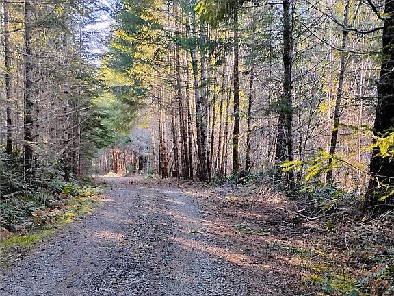 3rd image of 0 Skate Creek Rd S