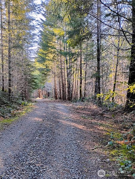 3rd image of 0 Skate Creek Road S