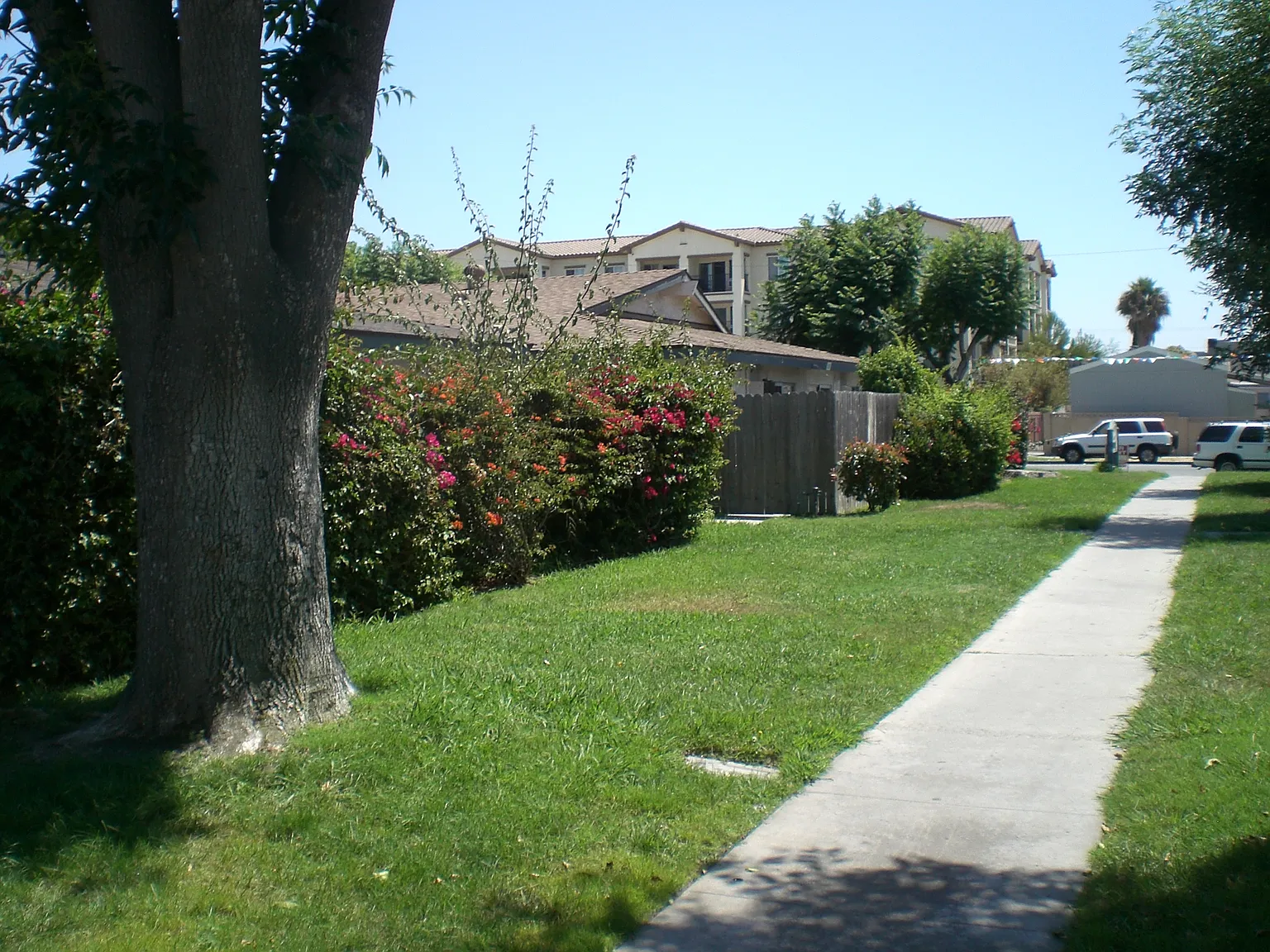 2 bed, 900 sqft, $2,495 — Photo 3