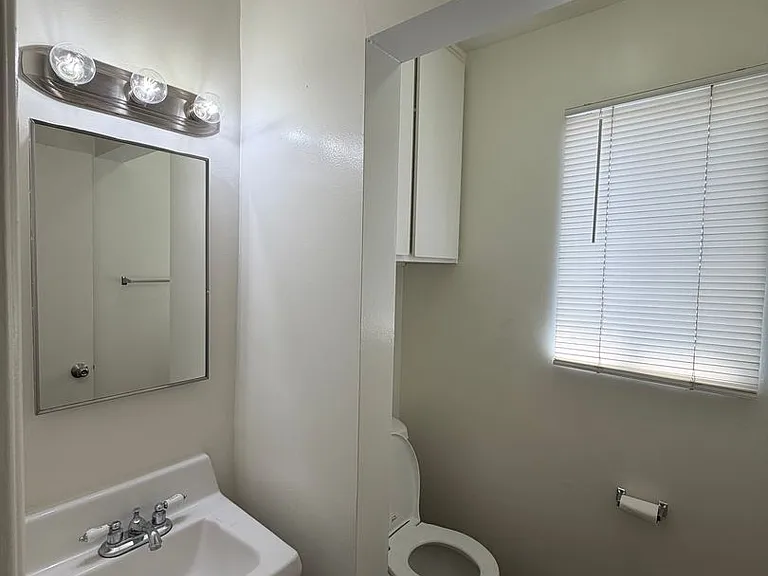 10733Oran — Photo 13