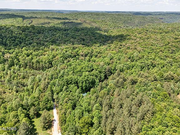 43rd image of 4912 Honey Creek Loop Rd