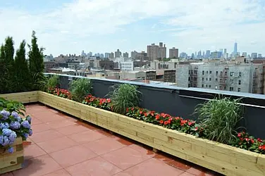 Rented by Dream Space Realty