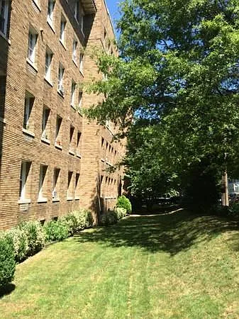 Side lawn area - 5402 Connecticut Ave NW