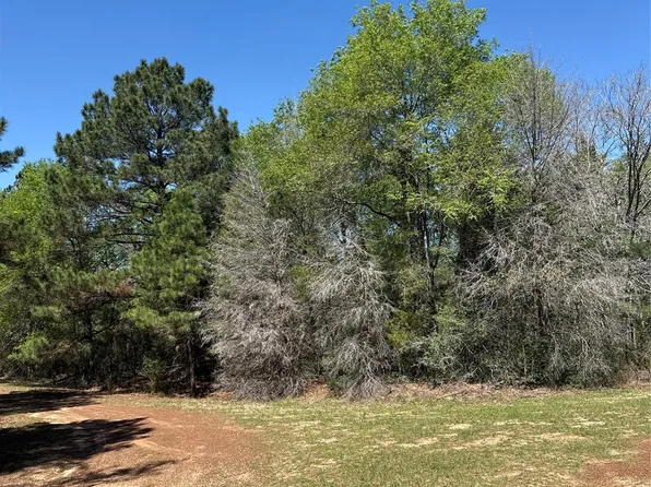 26842 Eagle Dr, Hempstead, TX 77445